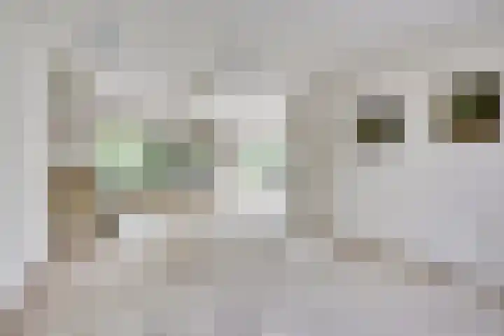 Novapad 11 Eindhoven thumbnail 9