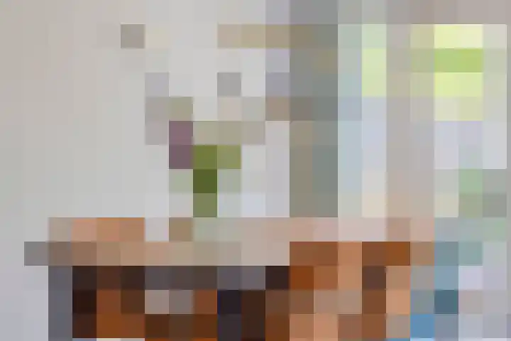 Novapad 3 Eindhoven thumbnail 11