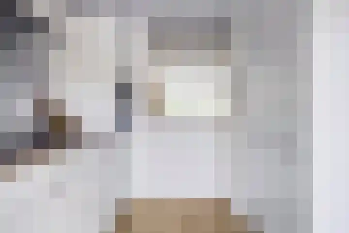 Novapad 3 Eindhoven thumbnail 15