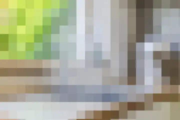 Novapad 3 Eindhoven thumbnail 17
