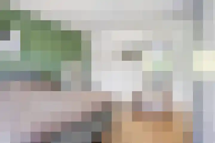 Novapad 3 Eindhoven thumbnail 26