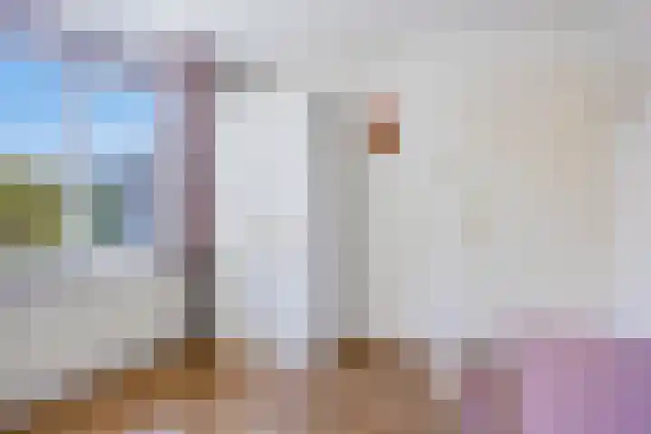 Novapad 3 Eindhoven thumbnail 31