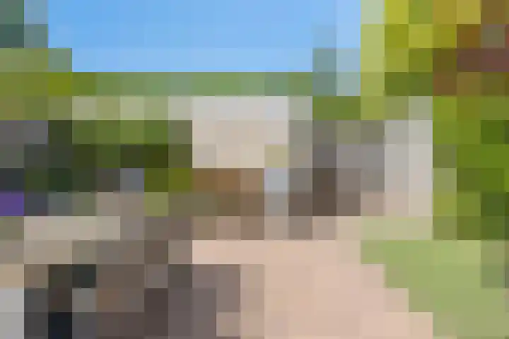Novapad 3 Eindhoven thumbnail 39