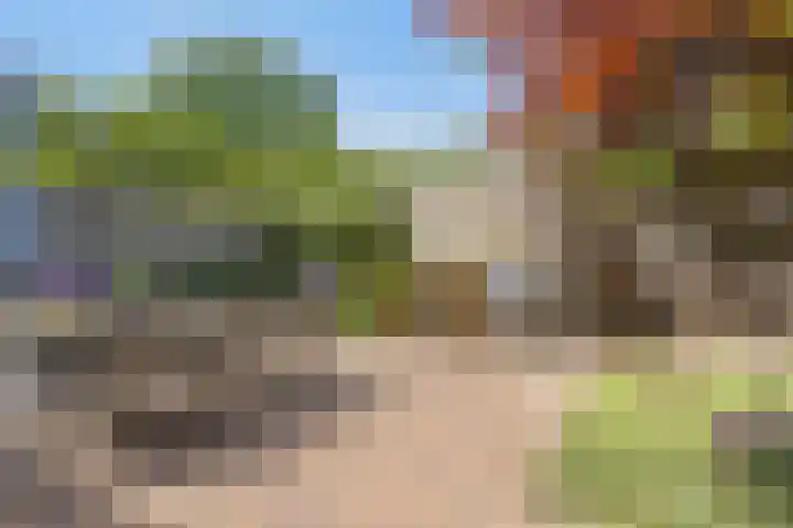 Novapad 3 Eindhoven thumbnail 40