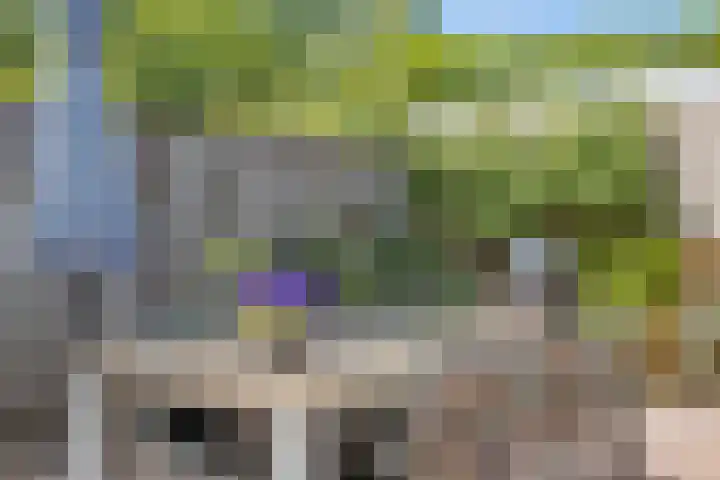 Novapad 3 Eindhoven thumbnail 41