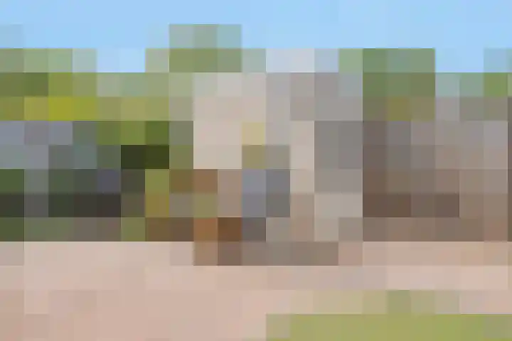 Novapad 3 Eindhoven thumbnail 43