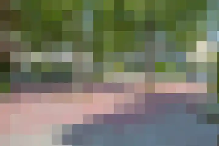 Novapad 3 Eindhoven thumbnail 45
