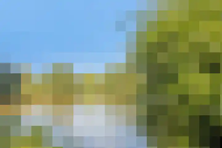 Novapad 3 Eindhoven thumbnail 47
