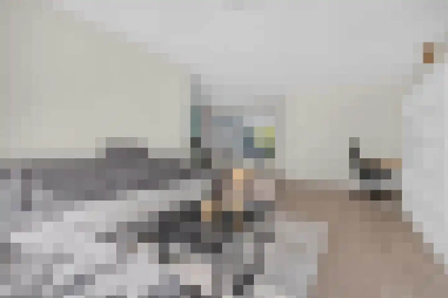 Novapad 5 Eindhoven thumbnail 11