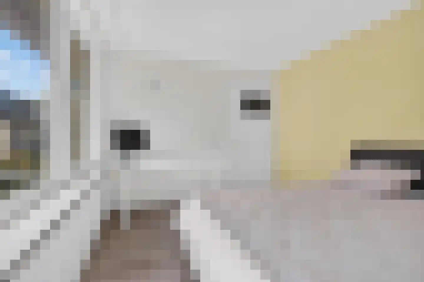 Novapad 5 Eindhoven thumbnail 36