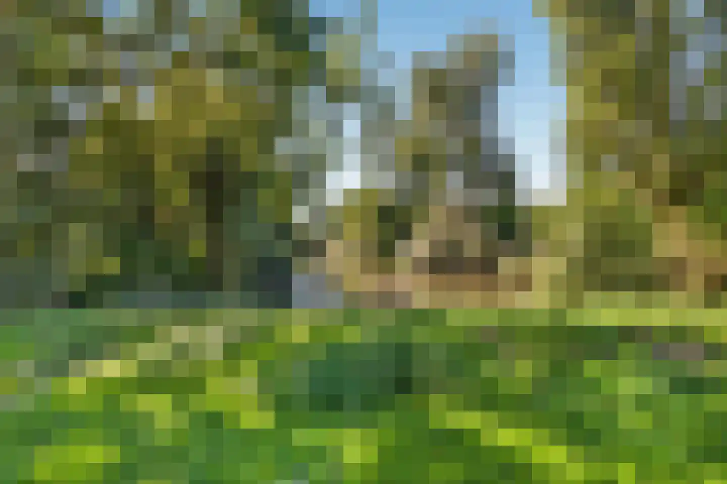 Novapad 5 Eindhoven thumbnail 44