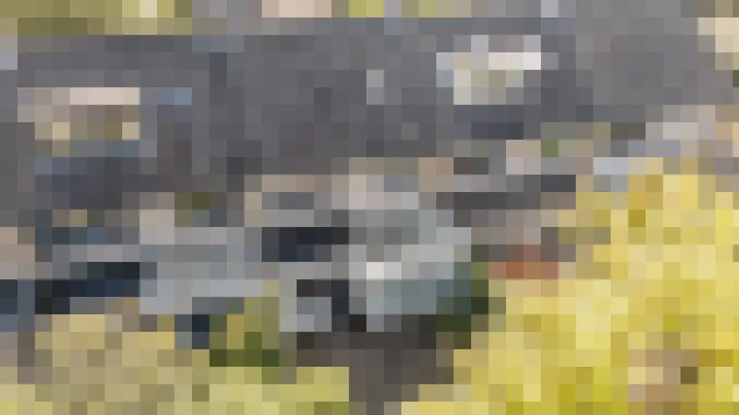 Novapad 5 Eindhoven thumbnail 48