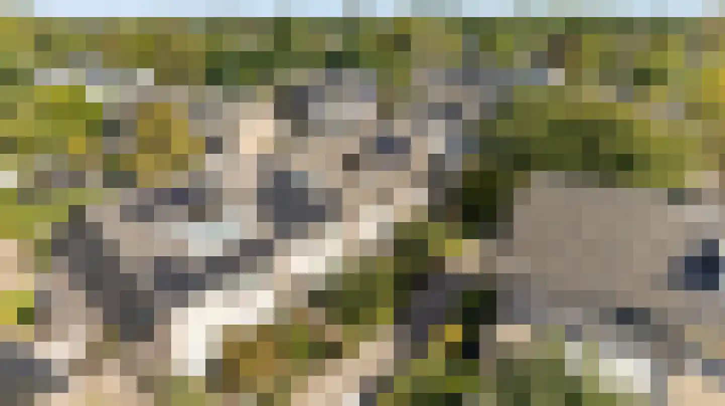 Novapad 5 Eindhoven thumbnail 51