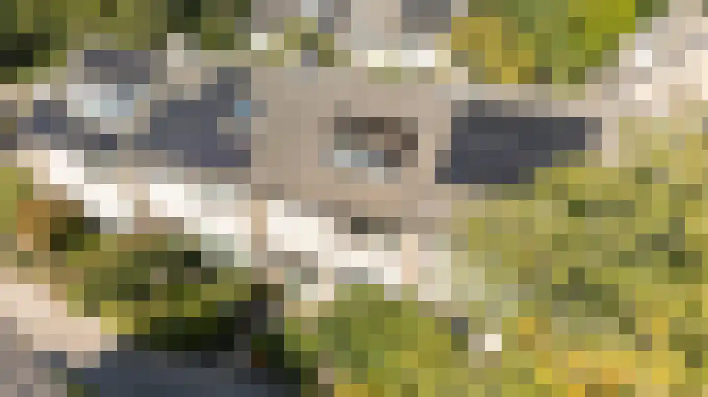 Novapad 5 Eindhoven thumbnail 52