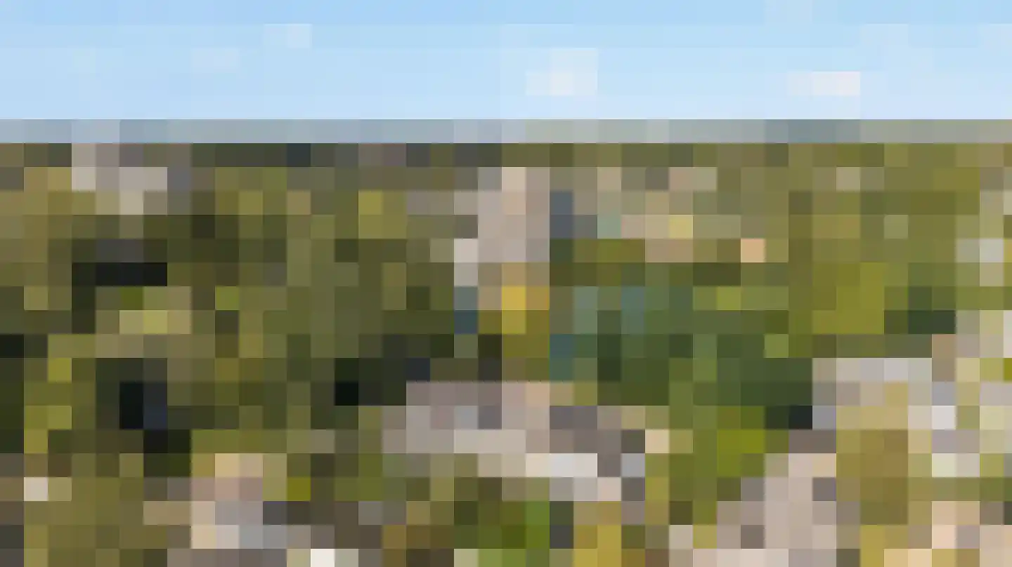Novapad 5 Eindhoven thumbnail 53