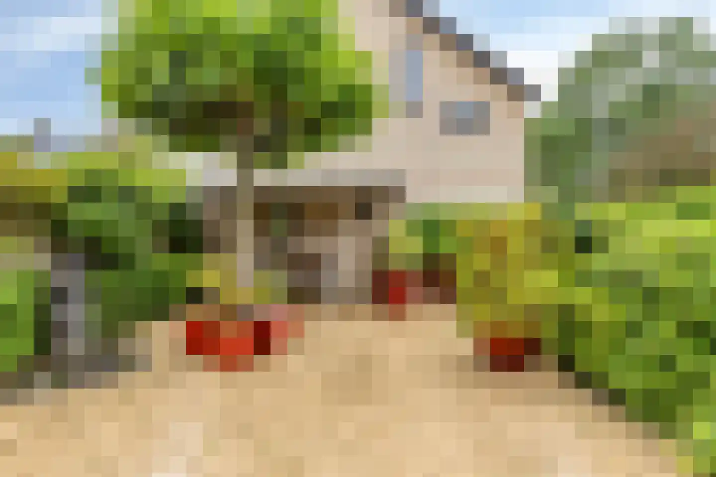 Novapad 6 Eindhoven thumbnail 37