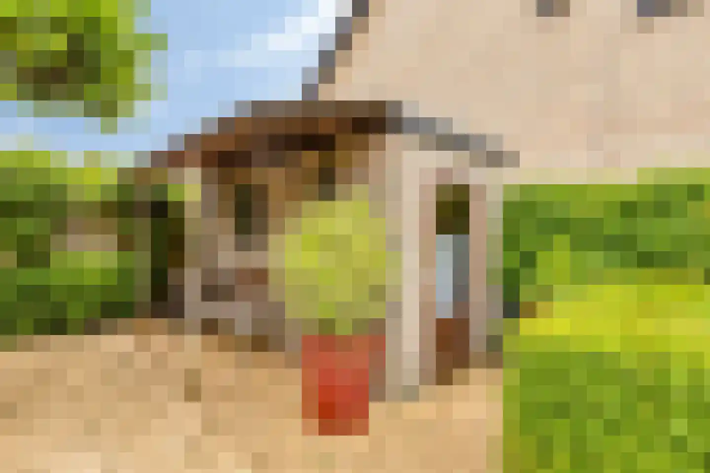 Novapad 6 Eindhoven thumbnail 38