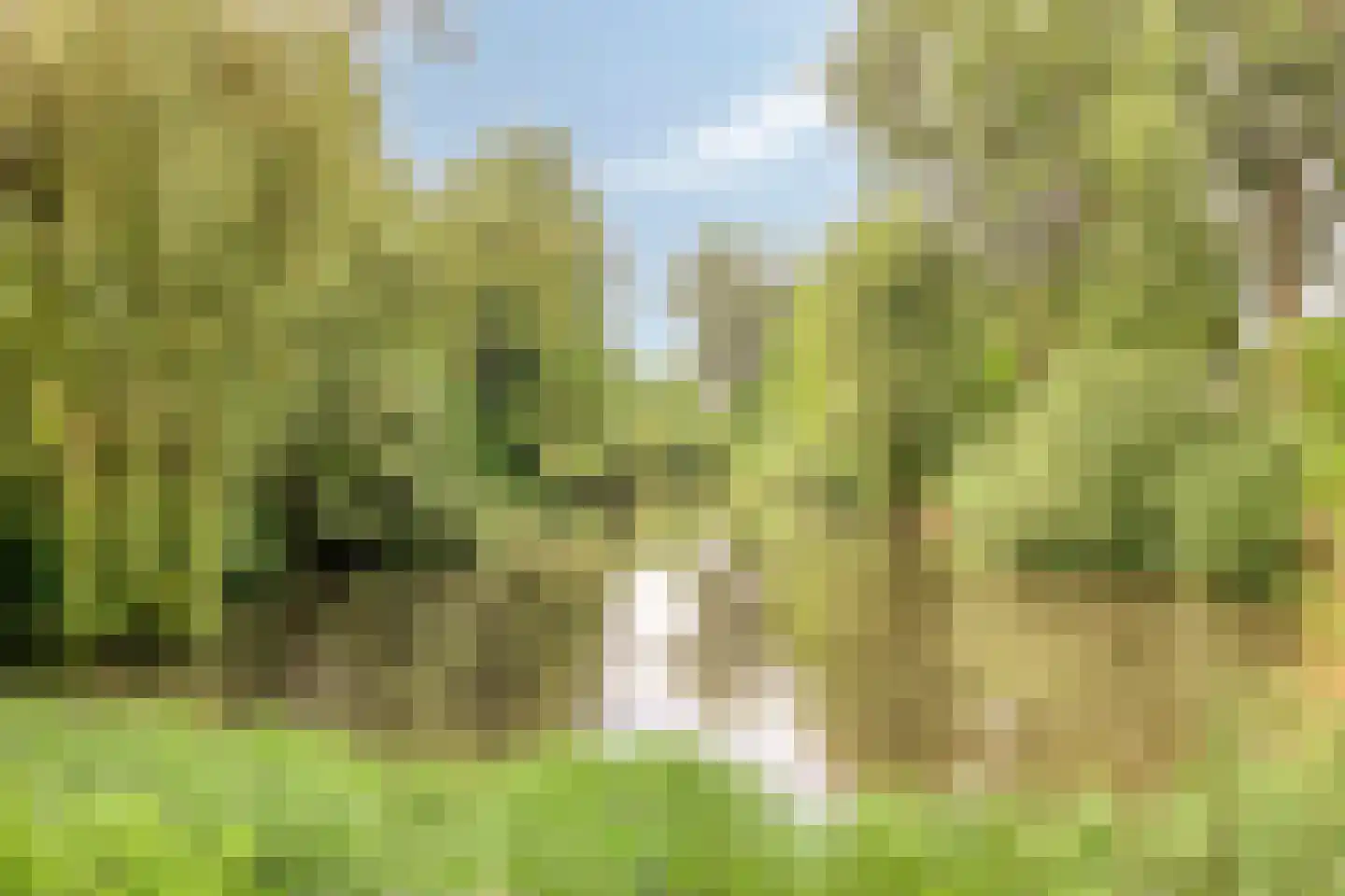 Novapad 6 Eindhoven thumbnail 45