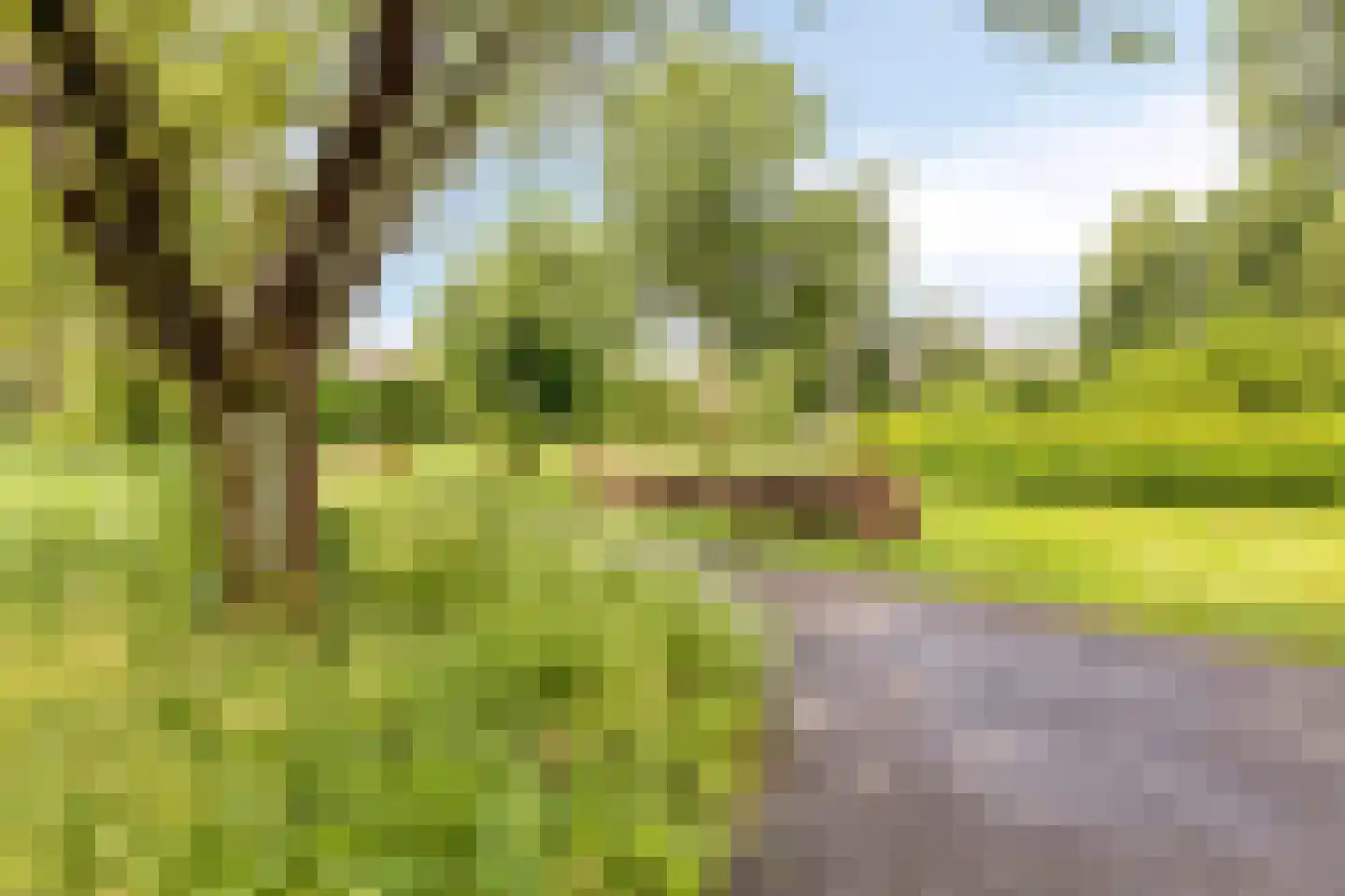Novapad 6 Eindhoven thumbnail 46