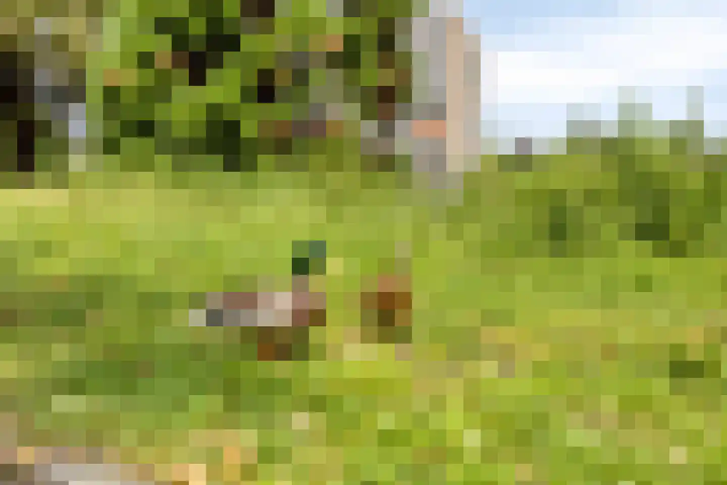 Novapad 6 Eindhoven thumbnail 48
