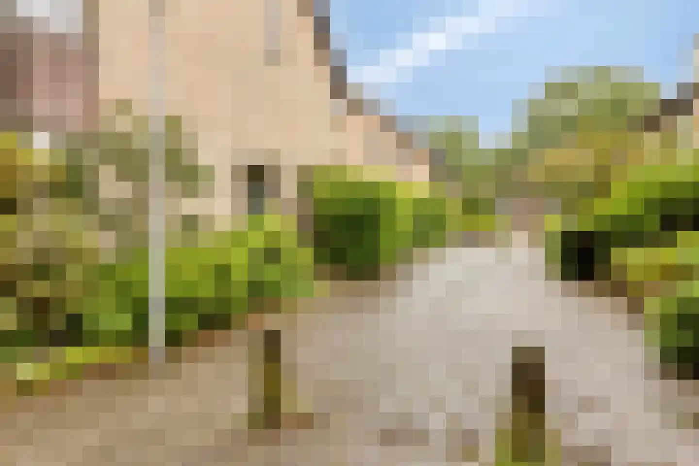 Novapad 6 Eindhoven thumbnail 6