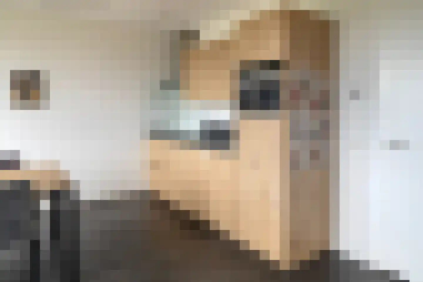Novicenstraat 120 Berkel-Enschot thumbnail 17