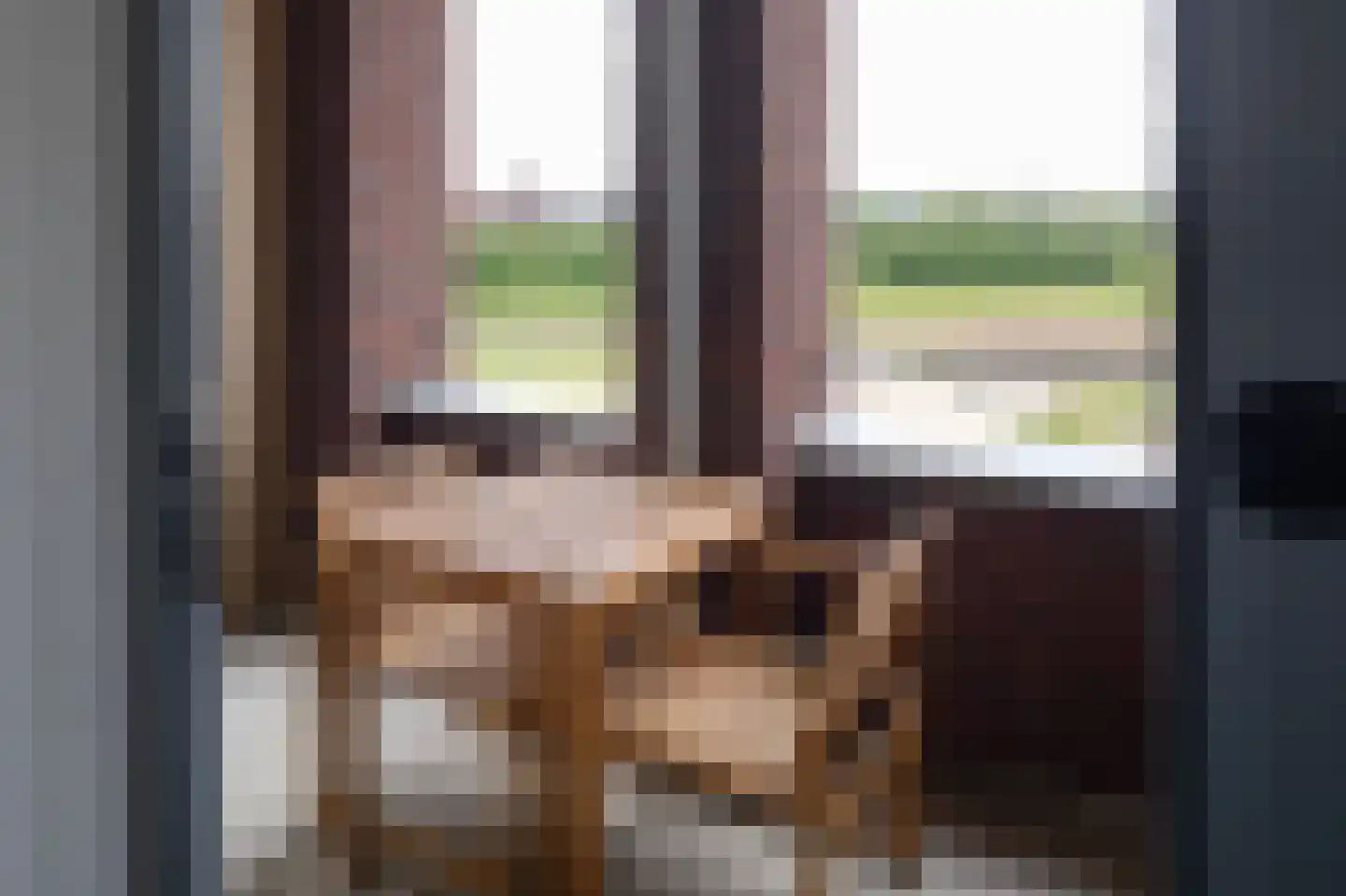 Novicenstraat 120 Berkel-Enschot thumbnail 22