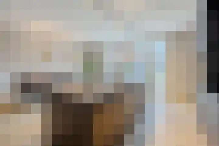 Novicenstraat 2 Berkel-Enschot thumbnail 12