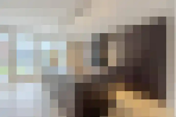 Novicenstraat 2 Berkel-Enschot thumbnail 13