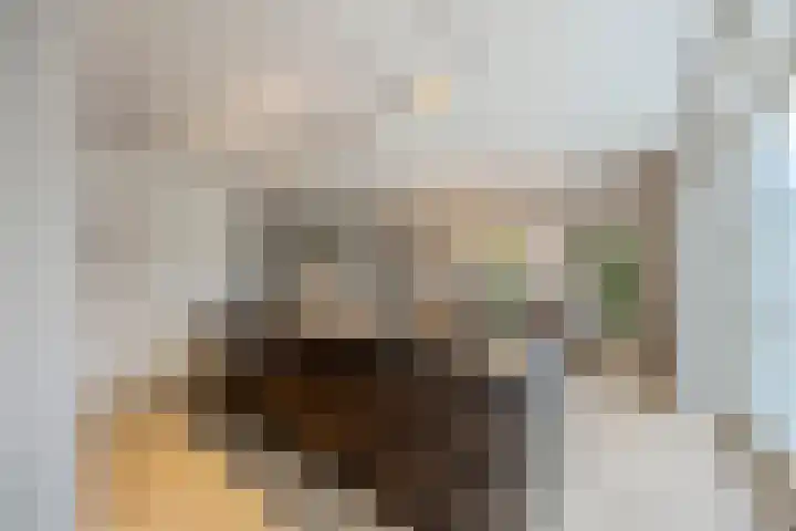 Novicenstraat 2 Berkel-Enschot thumbnail 14