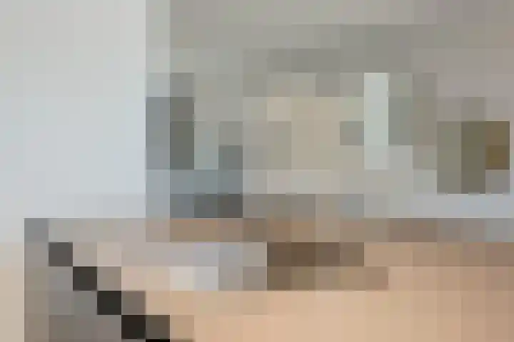 Novicenstraat 2 Berkel-Enschot thumbnail 16