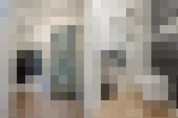 Novicenstraat 2 Berkel-Enschot thumbnail 21