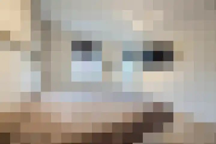 Novicenstraat 2 Berkel-Enschot thumbnail 24