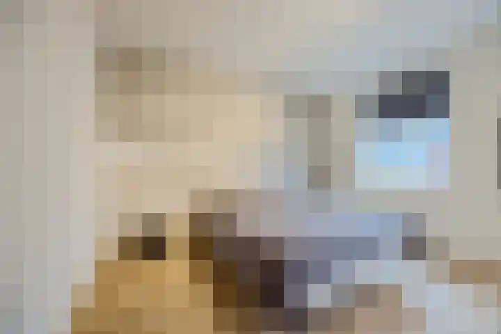 Novicenstraat 2 Berkel-Enschot thumbnail 26