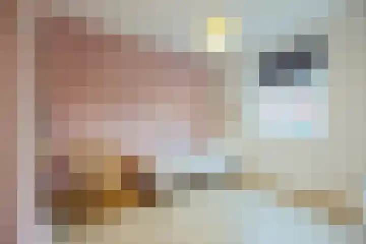 Novicenstraat 2 Berkel-Enschot thumbnail 31
