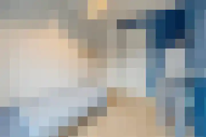 Novicenstraat 2 Berkel-Enschot thumbnail 33