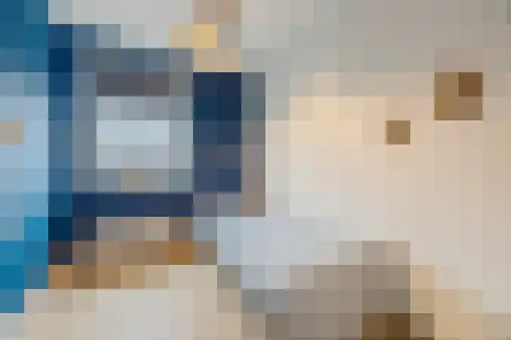 Novicenstraat 2 Berkel-Enschot thumbnail 34