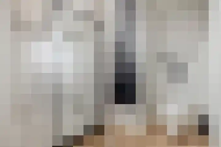 Novicenstraat 2 Berkel-Enschot thumbnail 37