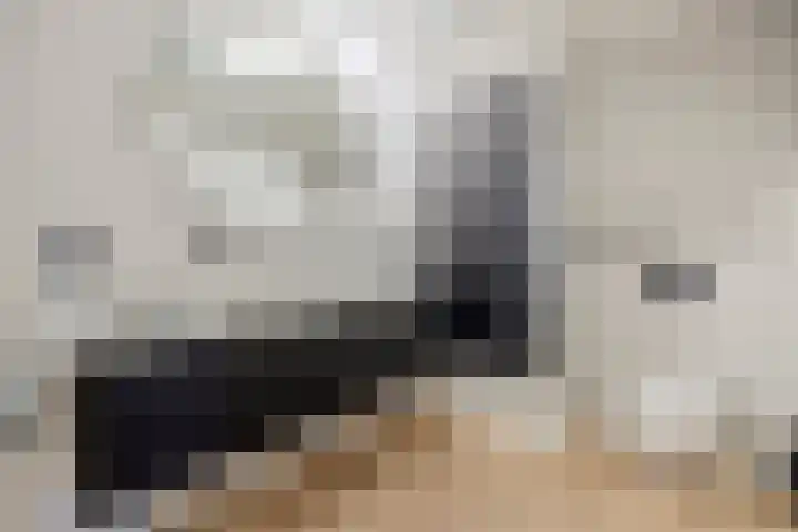 Novicenstraat 2 Berkel-Enschot thumbnail 39