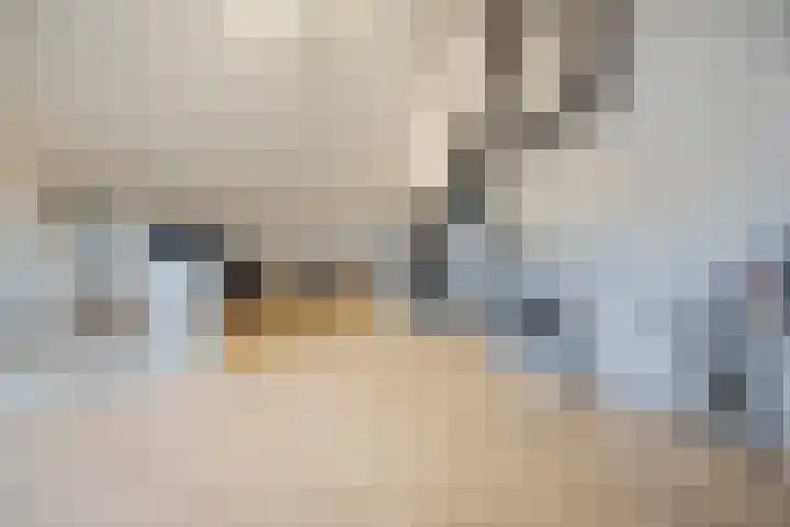 Novicenstraat 2 Berkel-Enschot thumbnail 42