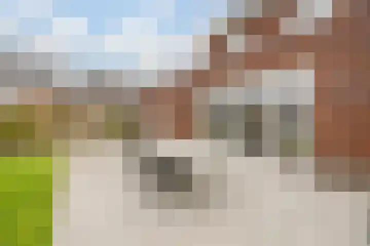 Novicenstraat 2 Berkel-Enschot thumbnail 46