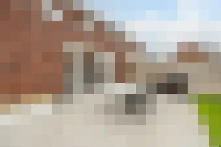 Novicenstraat 2 Berkel-Enschot thumbnail 47