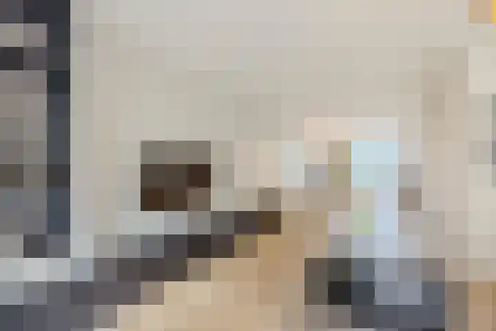Novicenstraat 2 Berkel-Enschot thumbnail 6