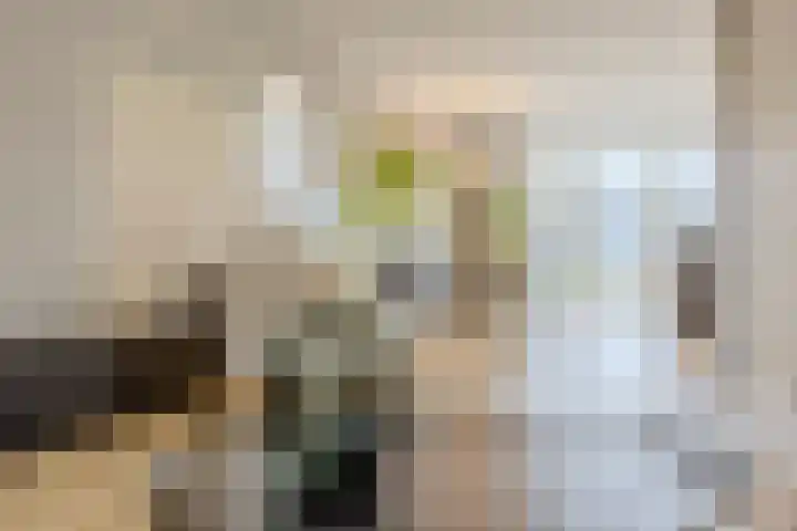 Novicenstraat 2 Berkel-Enschot thumbnail 7