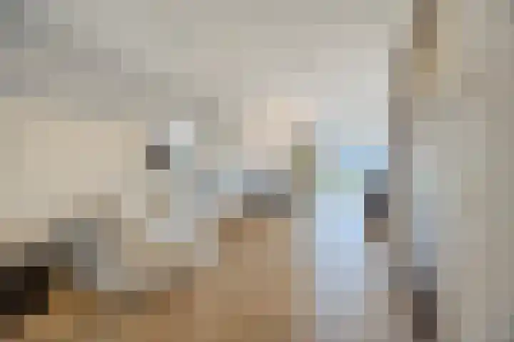 Novicenstraat 2 Berkel-Enschot thumbnail 8