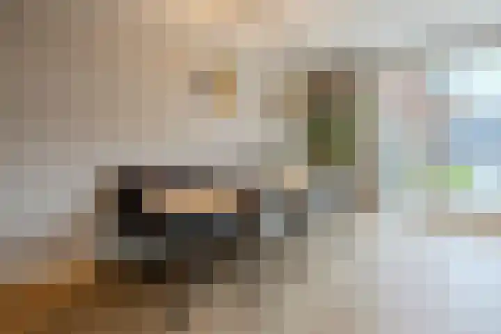 Novicenstraat 2 Berkel-Enschot thumbnail 9