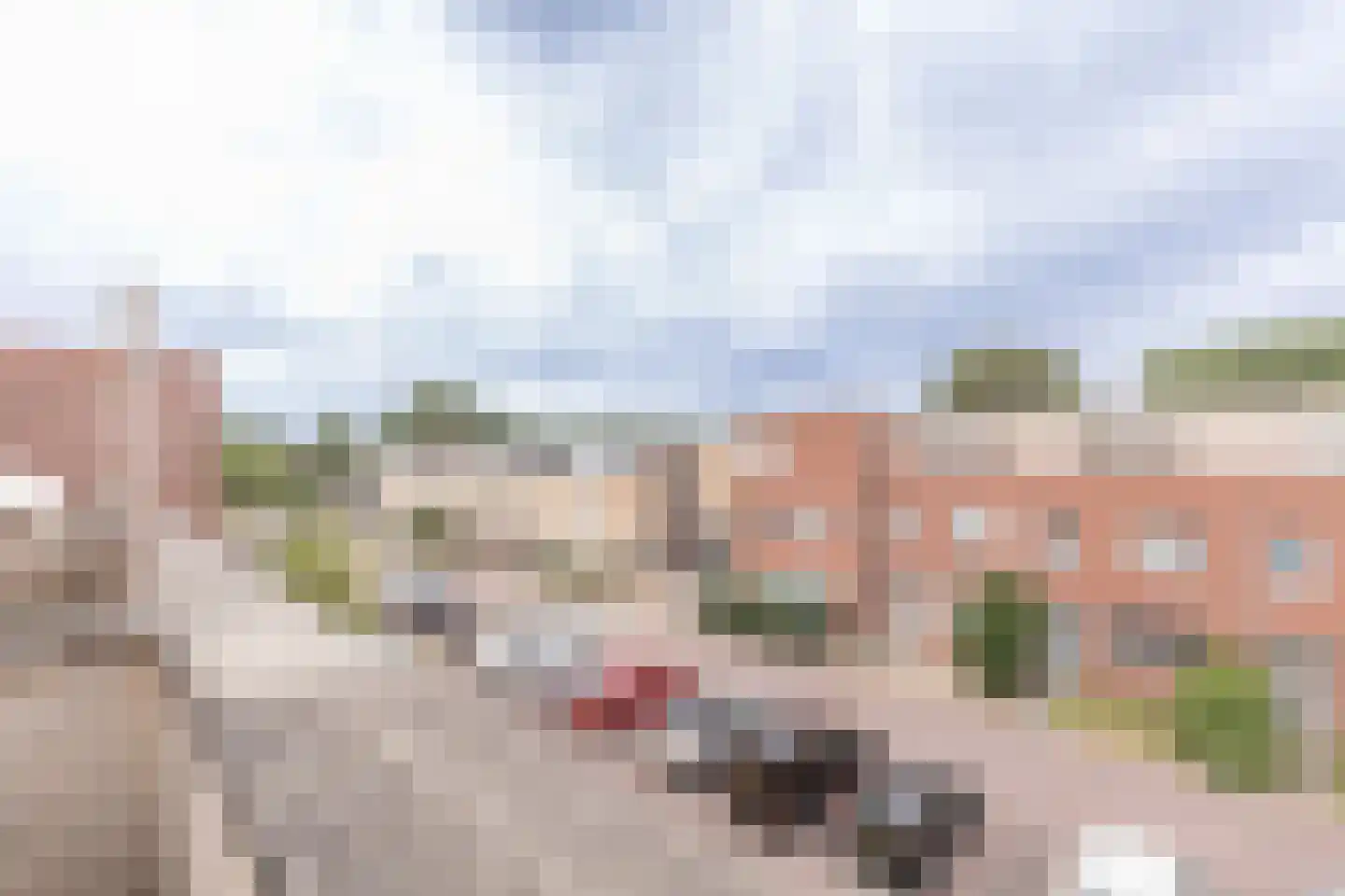 Noweestraat 20 Wageningen thumbnail 42