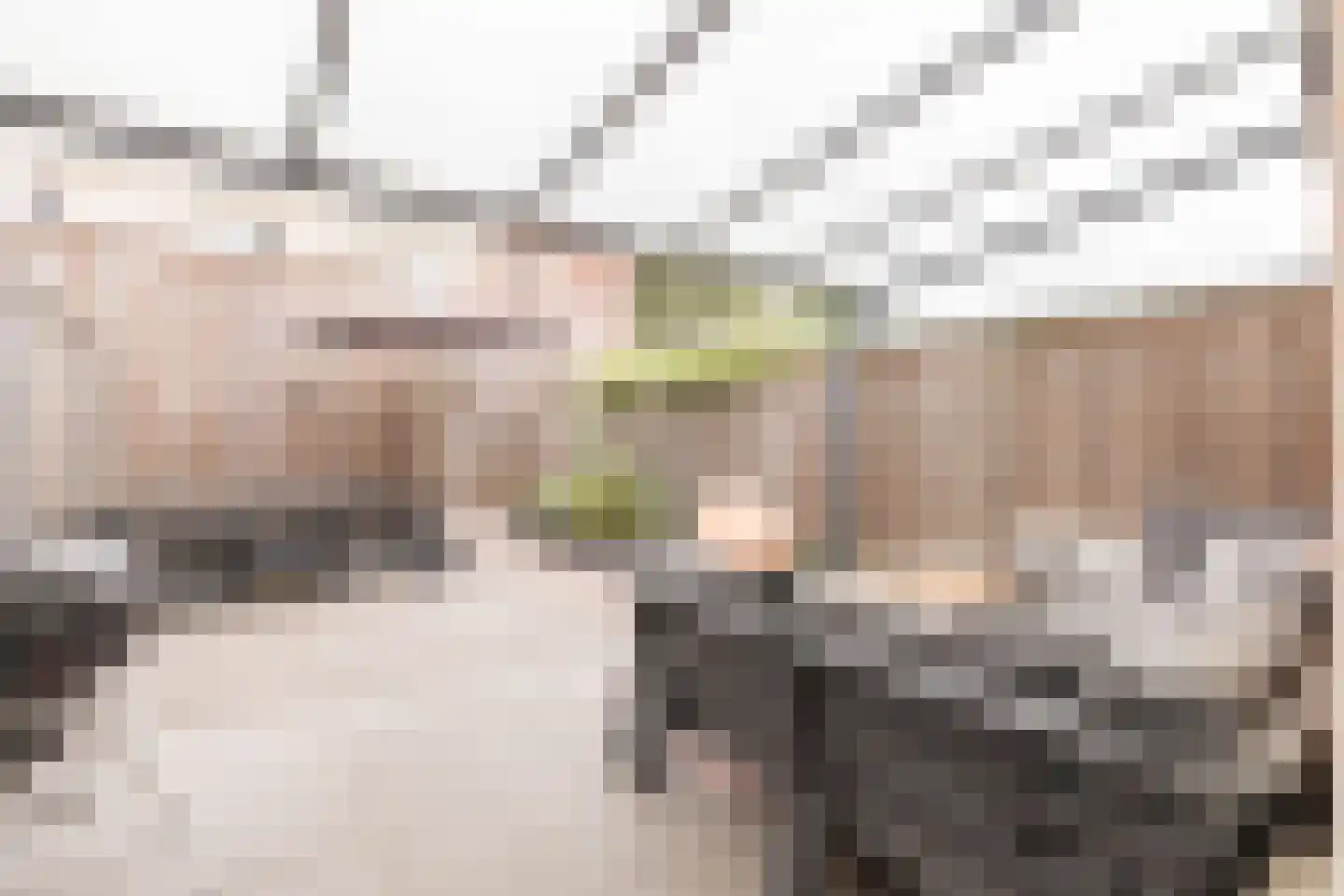 Noweestraat 20 Wageningen thumbnail 43