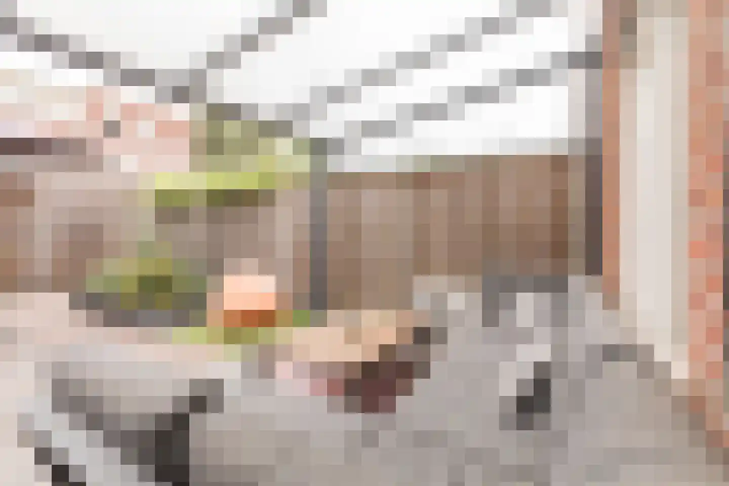Noweestraat 20 Wageningen thumbnail 44