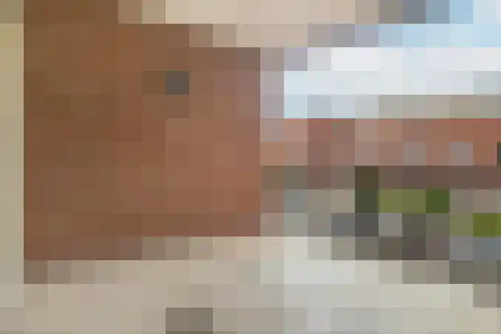 Noweestraat 24 Wageningen thumbnail 18